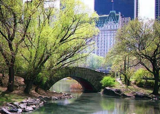 Comfort Inn Chelsea New York Eksteriør bilde